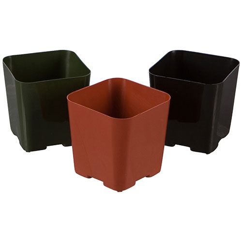 Set of  Six 2" Plastic Pots
