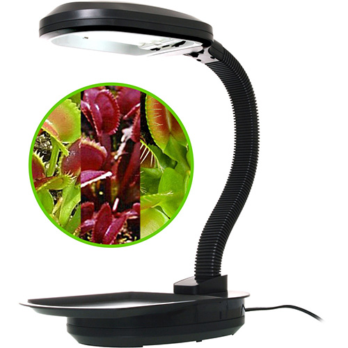 PL2 Desktop Plant Light with Venus flytrap Upgrade